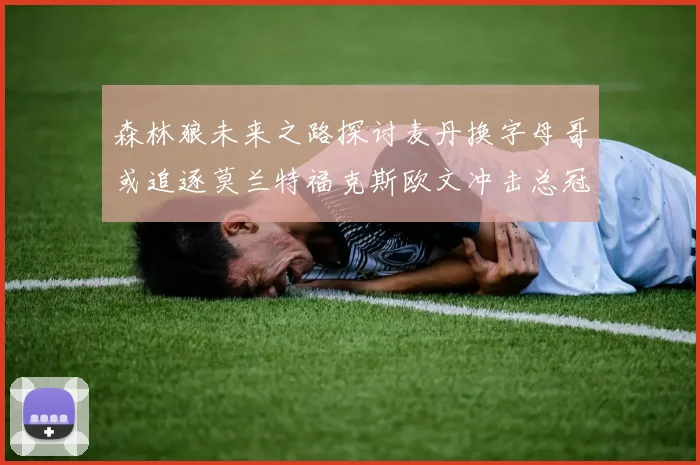 森林狼未来之路探讨麦丹换字母哥或追逐莫兰特福克斯欧文冲击总冠军