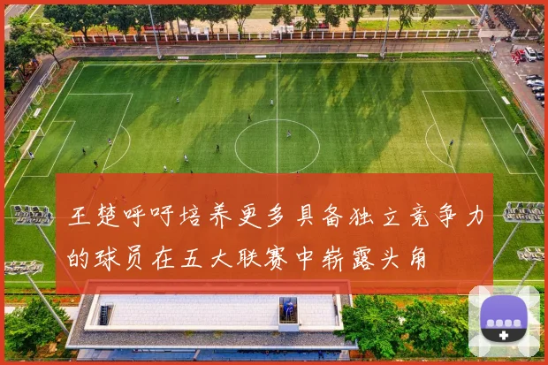 王楚呼吁培养更多具备独立竞争力的球员在五大联赛中崭露头角